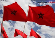 Maroko Geser Afrika Selatan, Kini Jadi Kekuatan Industri Terkemuka Afrika