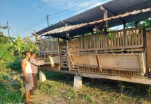 Bhabinkamtibmas Bangil Pantau Budidaya Ternak Kambing di Latek, Dukung Program P2B Asta Cita