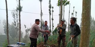 Bhabinkamtibmas Polsek Tosari Pantau Lahan Bawang Prei, Dukung Program Ketahanan Pangan Nasional