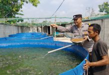 Bhabinkamtibmas Polsek Rembang Pantau Budidaya Lele, Dukung Ketahanan Pangan Nasional