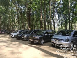 MODUS BARU PUNGLI COBAN JAHE MALANG – BAYAR PARKIR RP10.000 DI LOKET, STRUK PERHUTANI NOL BESAR, KPH MALANG DIMINTA AUDIT CCTV