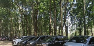 MODUS BARU PUNGLI COBAN JAHE MALANG – BAYAR PARKIR RP10.000 DI LOKET, STRUK PERHUTANI NOL BESAR, KPH MALANG DIMINTA AUDIT CCTV
