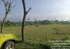 Diduga Tak Ditanami, Lahan LP2B Milik Desa Sumber Ngepoh Lawang Dibiarkan Terbengkalai