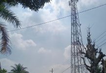 MENARA MAUT 50 METER MEPET SD NEGERI 2 KALISONGO DAU – 30 METER ZONA AMAN DICURI, NYAWA 200 ANAK JADI TARUHAN