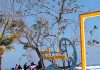 PANTAI TANJUNG PENYU MASIH KARCIS SOBEK MANUAL – BUKTI KPH MALANG BELUM 1 STANDAR, PNBP WISATA ALAM RAWAN BOCOR