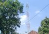 OPERASI TOWER PASURUAN – TOWER BTS ORO-ORO OMBO REMBANG MEPET RUMAH WARGA, 2 TOWER TERDOKUMENTASI DALAM 16 MENIT, IMB + SEWA LAHAN ADA NGGAK?