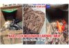 Terbongkarnya Dugaan Pencurian Kabel PT Telkom, Berawal dari Temuan Tim PPWI di Lampung Timur