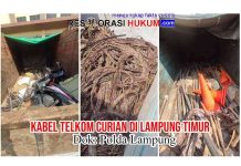 Terbongkarnya Dugaan Pencurian Kabel PT Telkom, Berawal dari Temuan Tim PPWI di Lampung Timur