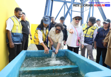 Tinjau Infrastruktur Strategis di Papua, Wamendagri Ribka Haluk Pastikan Program Prioritas Berjalan Optimal