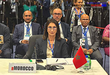 Langkah Bersejarah Energi Afrika: Negara-Negara ECOWAS Resmi Dukung Proyek Pipa Gas Atlantik Nigeria-Maroko