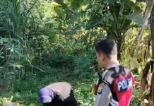 Bhabinkamtibmas Polsek Pasrepan Pantau Tanaman Jagung, Dukung Asta Cita Ketahanan Pangan Nasional