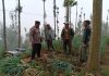 Polsek Tosari Dampingi Petani Bawang, Wujudkan Ketahanan Pangan di Lereng Bromo
