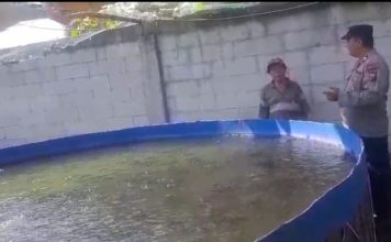 Tak Hanya Jaga Kamtibmas, Polisi di Rembang Dampingi Budidaya Lele Warga