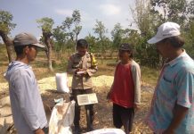 Polisi Dampingi Petani Bantu Distribusi 2,8 Ton Jagung Petani Rebono ke Bulog