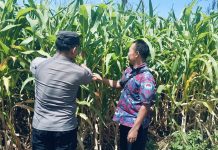 Bhabinkamtibmas Polsek Sukorejo Dorong Petani Optimalkan Lahan Produktif