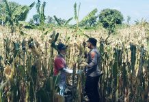 BHABINKAMTIBMAS SUKOREJO GERAKKAN MASYARAKAT MANFAATKAN LAHAN DUKUNG KETAHANAN PANGAN NASIONAL