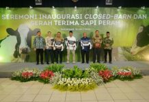 Wamenko Pangan Resmikan Closed Barn dan Sererahkan sapi impor di Pasuruan