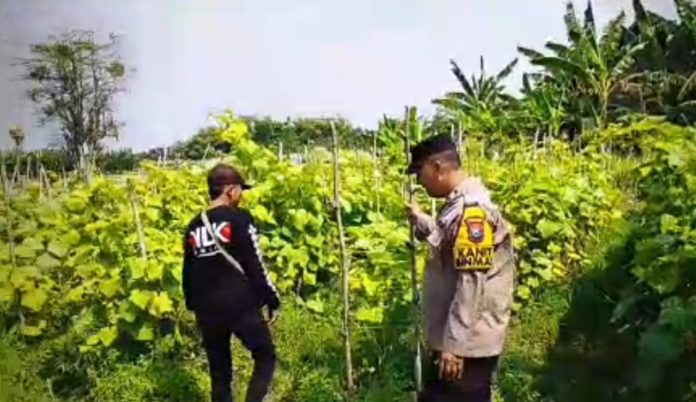 IMG 20260801 WA0001