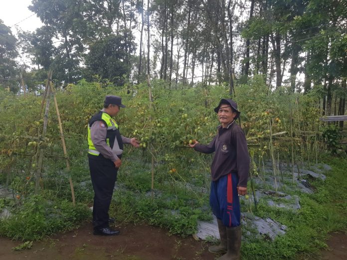 IMG 20260808 WA0000