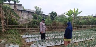 Polri Dampingi Program Pekarangan Pangan Bergizi di Desa Pungging