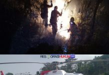 BPBD Jatim Bersama Tim Relawan Padamkan KARHUTLA di Kawasan Tahura R. Soerjo Gunung Arjuno