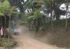 SUDAH 2 MINGGU DIKONFIRMASI, KPH MALANG BUNGKAM SOAL IZIN AKSES JALAN UNTUK PETERNAKAN AYAM PT BERDIKARI