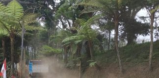 SUDAH 2 MINGGU DIKONFIRMASI, KPH MALANG BUNGKAM SOAL IZIN AKSES JALAN UNTUK PETERNAKAN AYAM PT BERDIKARI