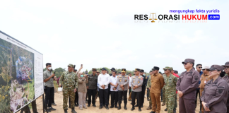 Satgas PKH Tertibkan Tambang Ilegal PT Singlurus Pratama di Kawasan Hutan Kutai Kartanegara