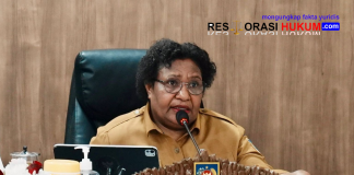 Wamendagri Ribka Haluk Minta Pemda Perkuat Pencegahan Karhutla Sejak Dini
