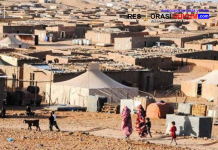 Skandal Penyelewengan Bantuan Kemanusiaan di Kamp Tindouf: Keuangan Polisario Dipertanyakan, Wilson Lalengke Desak Pembubaran Kamp