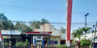 Polsek Nongkojajar Pantau Tanaman Bawang Putih, Dukung Program Ketahanan Pangan Nasional