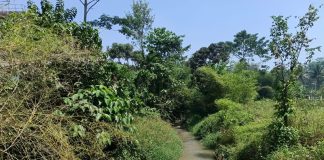 BUKTI BARU! DUGAAN LIMBAH GREENFIELD PALAAN DIBUANG KE SUNGAI. 4 PIHAK MASIH BUNGKAM
