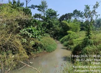 BUKTI BARU! DUGAAN LIMBAH GREENFIELD PALAAN DIBUANG KE SUNGAI. 4 PIHAK MASIH BUNGKAM