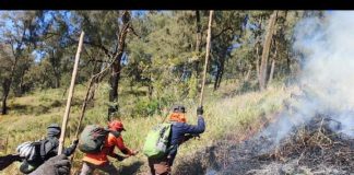 Polsek Nongkojajar Antisipasi Karhutla Malang Merembet ke Wilayah Pasuruan