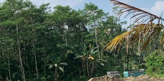 3 BULAN LAPORAN DIABAIKAN! TAMBANG GALIAN C ILEGAL DI NGLEGOK-PONGGOK BLITAR MASIH BEBAS BEROPERASI