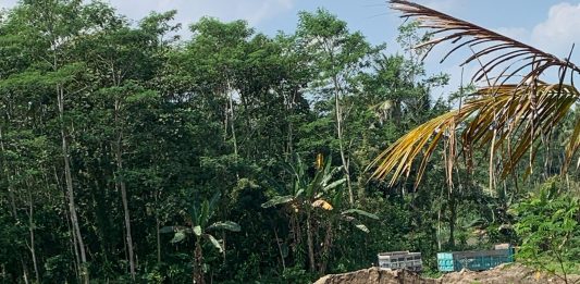 3 BULAN LAPORAN DIABAIKAN! TAMBANG GALIAN C ILEGAL DI NGLEGOK-PONGGOK BLITAR MASIH BEBAS BEROPERASI