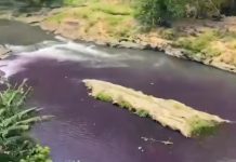 HEBOH! Sungai Brantas di Malang Jadi Ungu Pekat Seperti Darah, Warga Spill Sumbernya: Limbah Pabrik Kulit Ciptomulyo Lewat Kali Badek