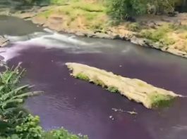 HEBOH! Sungai Brantas di Malang Jadi Ungu Pekat Seperti Darah, Warga Spill Sumbernya: Limbah Pabrik Kulit Ciptomulyo Lewat Kali Badek