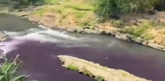 HEBOH! Sungai Brantas di Malang Jadi Ungu Pekat Seperti Darah, Warga Spill Sumbernya: Limbah Pabrik Kulit Ciptomulyo Lewat Kali Badek
