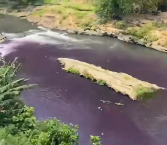 HEBOH! Sungai Brantas di Malang Jadi Ungu Pekat Seperti Darah, Warga Spill Sumbernya: Limbah Pabrik Kulit Ciptomulyo Lewat Kali Badek