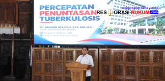 Kebut Eliminasi TBC Nasional, Wamendagri Instruksikan Pembagian Tugas Berjenjang dari Provinsi hingga Desa