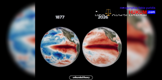 Waspada Siklus Iklim Ekstrem Super El Nino Bayangi Kawasan Asia Tenggara