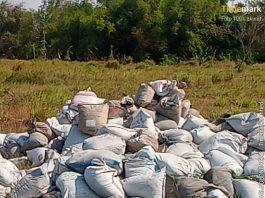 DLH JOMBANG DIDUGA TUTUP MATA! Ratusan Karung Limbah B3 Abu Aluminium dari Industri Peleburan Jombang Dibuang Liar di Sawah Jetis Mojokerto – DLH Mojokerto Juga Bungkam