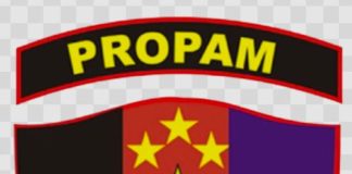 TAK MAIN-MAIN! Divpropam Mabes Polri Turun Gunung, Dumas Pungli Restorasi Hukum Dilimpahkan ke Bidpropam Polda Sumsel – Tembusan Langsung ke Kapolri